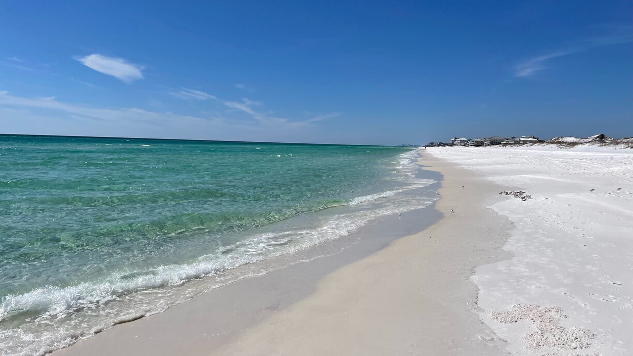 Photo of Others in Gulf Trace