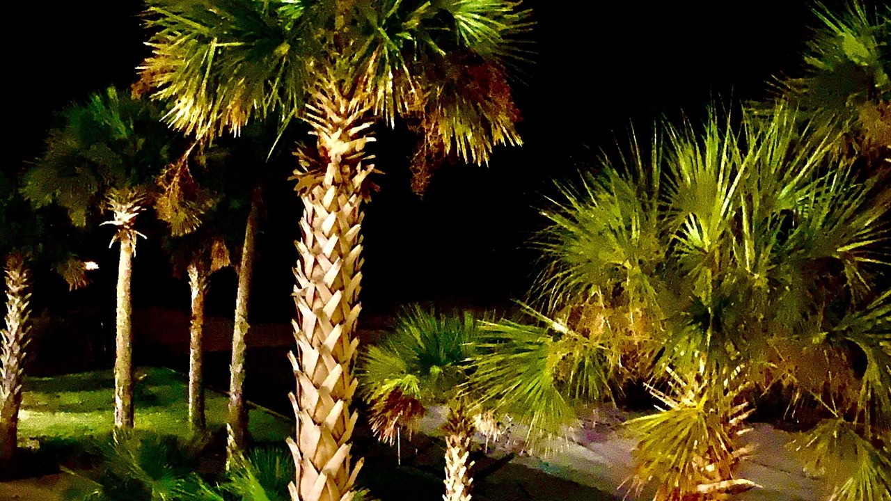 Photo of Outdoor in Henderson Point