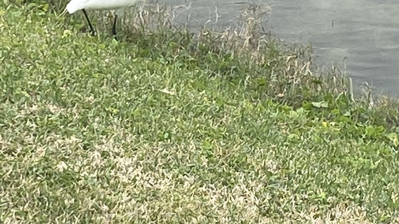 Photo of Others in Bel Air