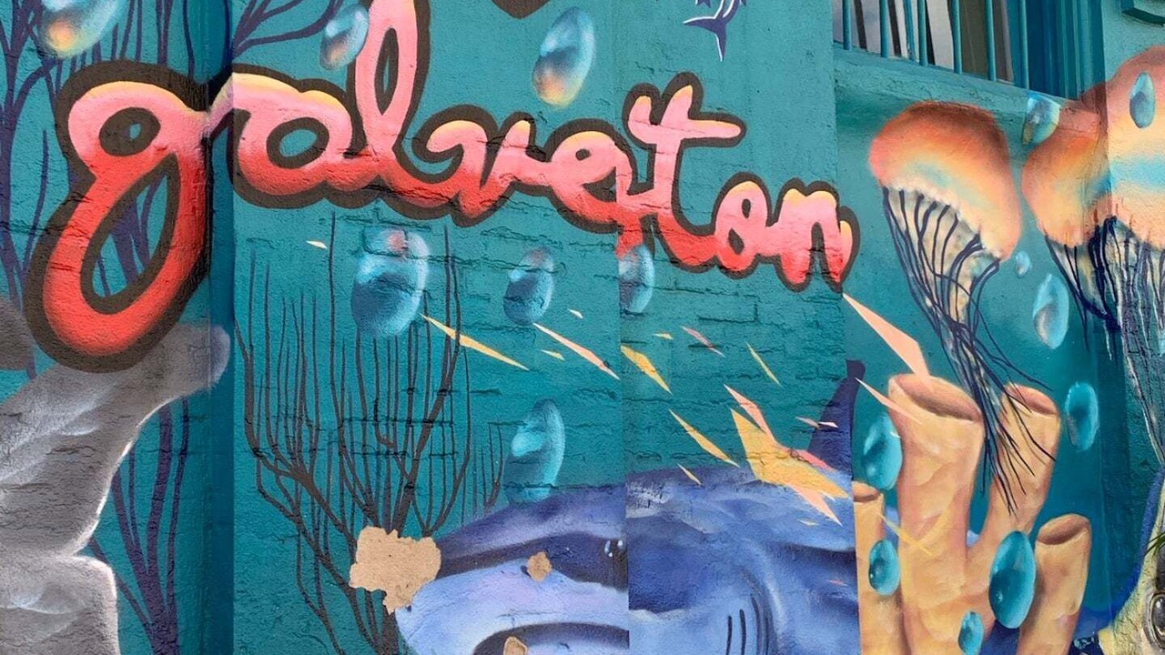 Photo of Others in Galveston
