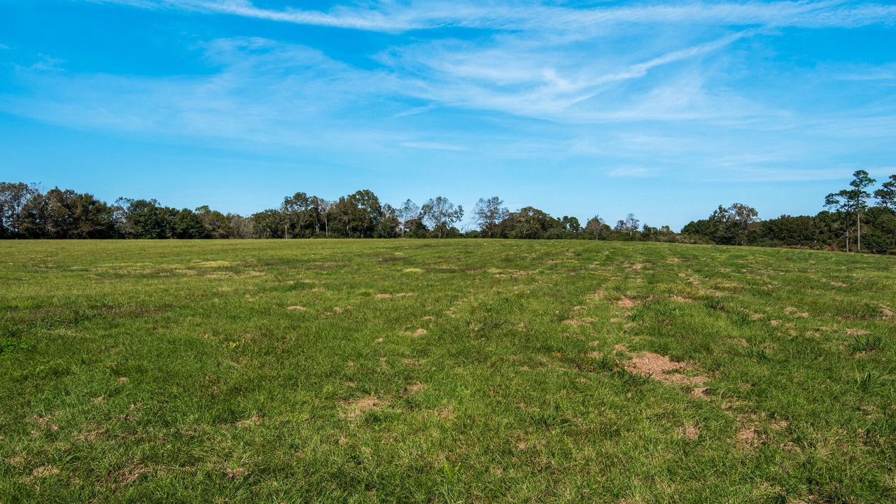 Photo of Outdoor in Laurel Hill