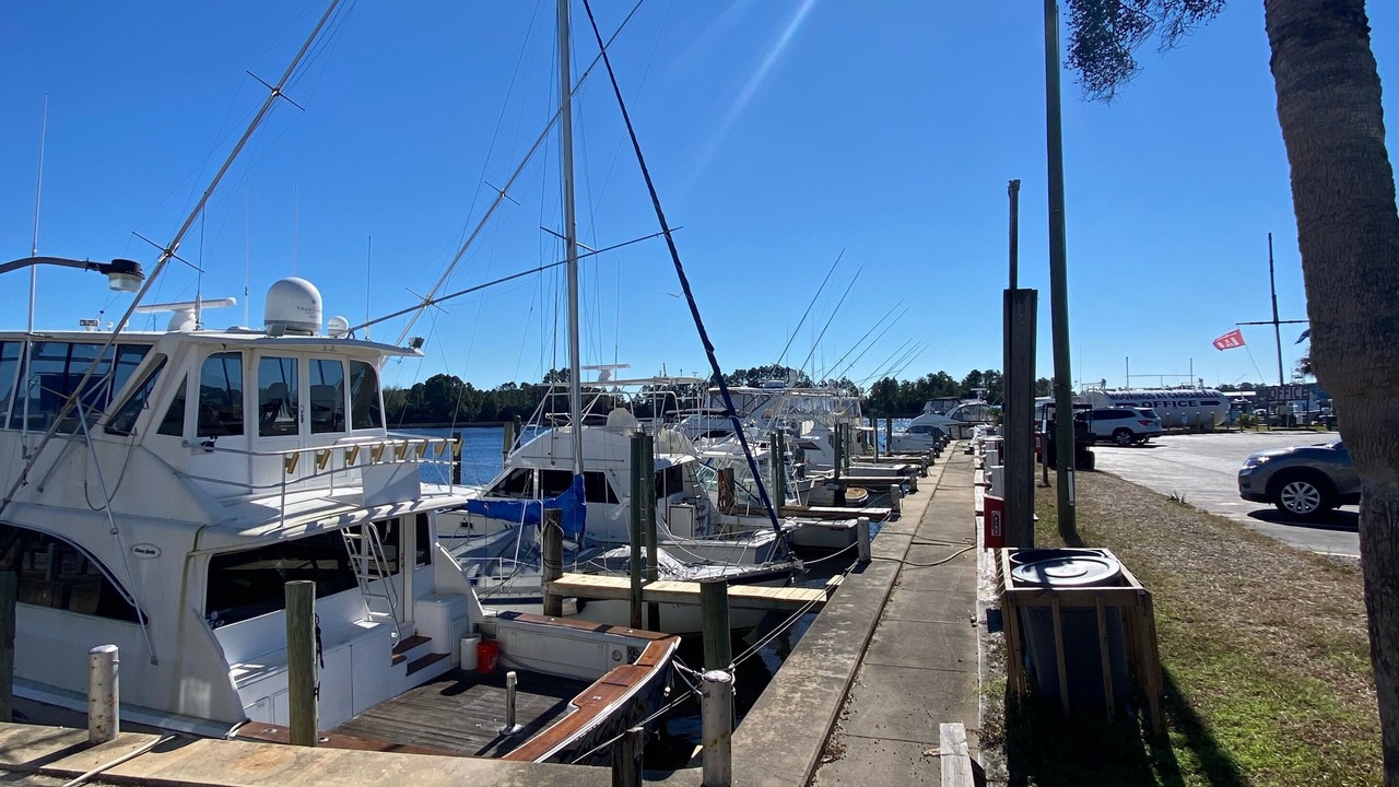 Photo of Others in Carrabelle