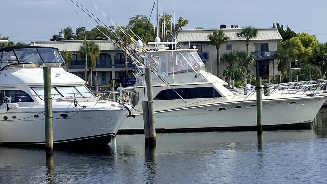Photo of Others in Carrabelle