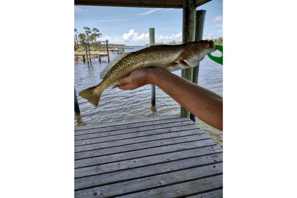 Photo of Others in Cape San Blas