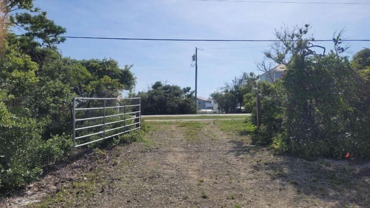 Photo of Outdoor in Cape San Blas