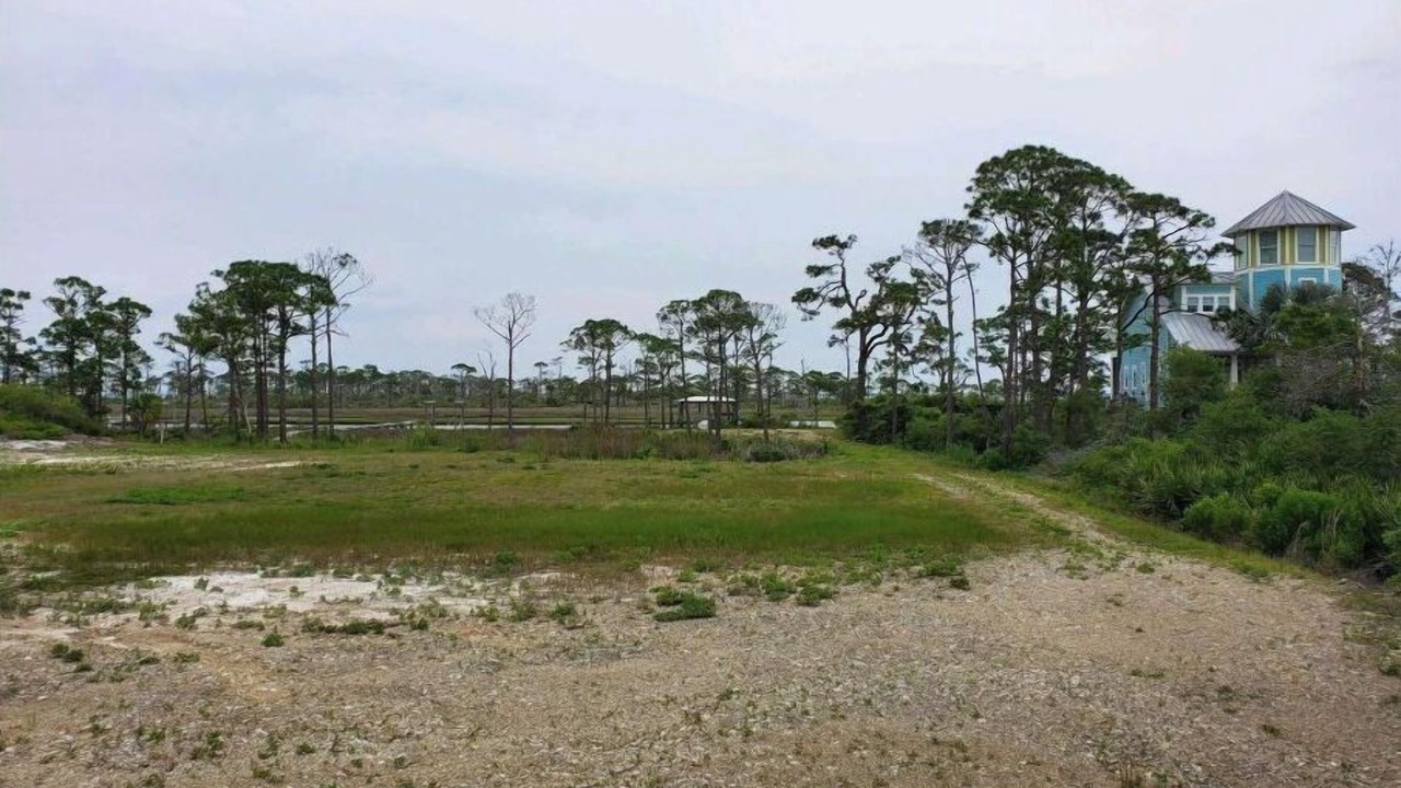 Photo of Outdoor in Cape San Blas