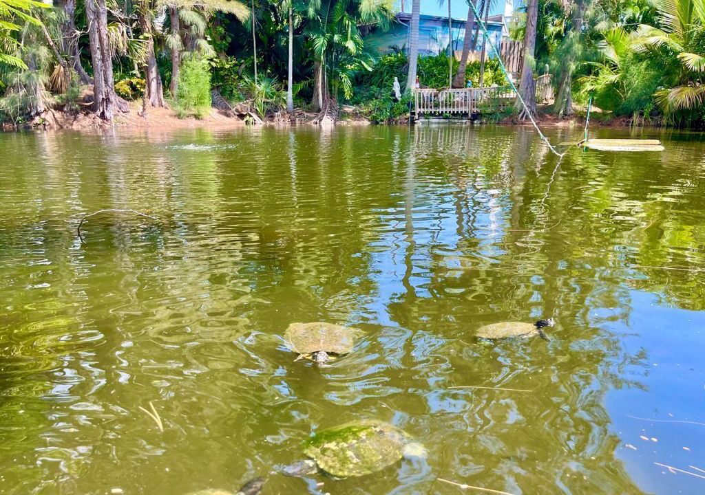 Photo of Outdoor in Lazy Lake