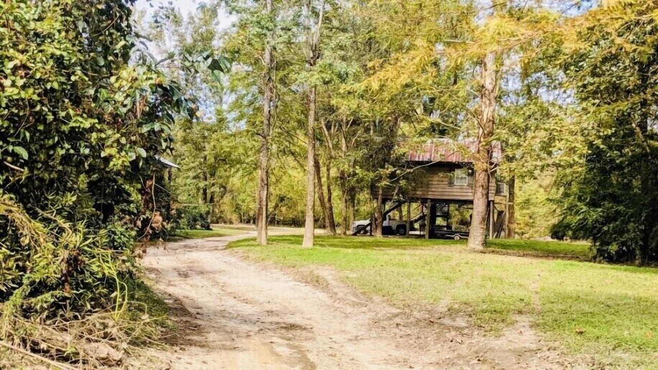 Photo of Outdoor in Talisheek
