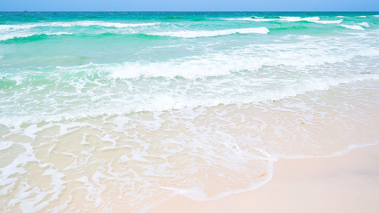 Photo of Others in Panama City Beach