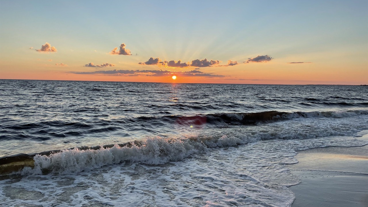 Photo of Others in Mexico Beach