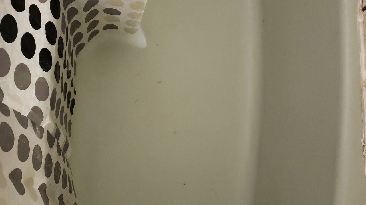 Photo of Bathroom in Acipco-Finley