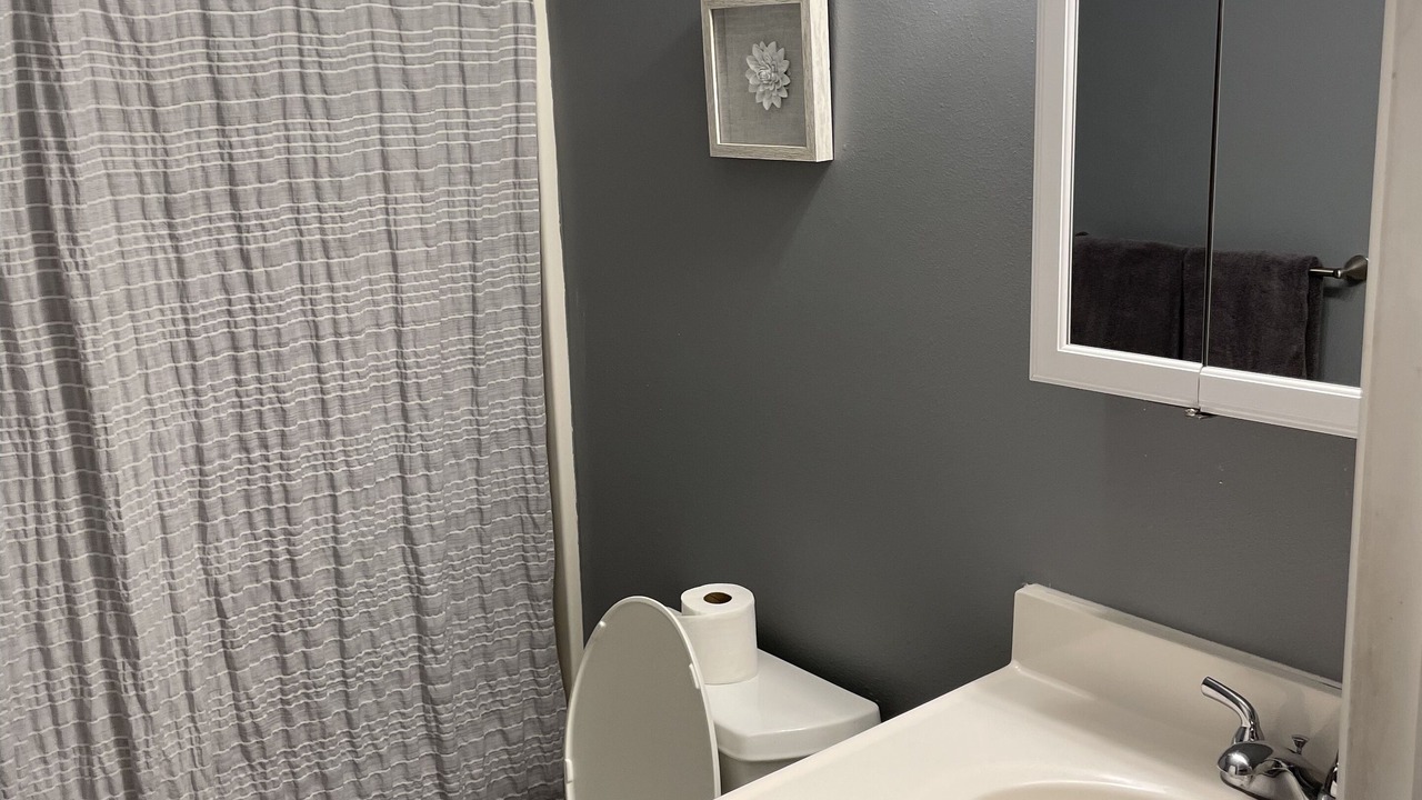 Photo of Bathroom in Gray