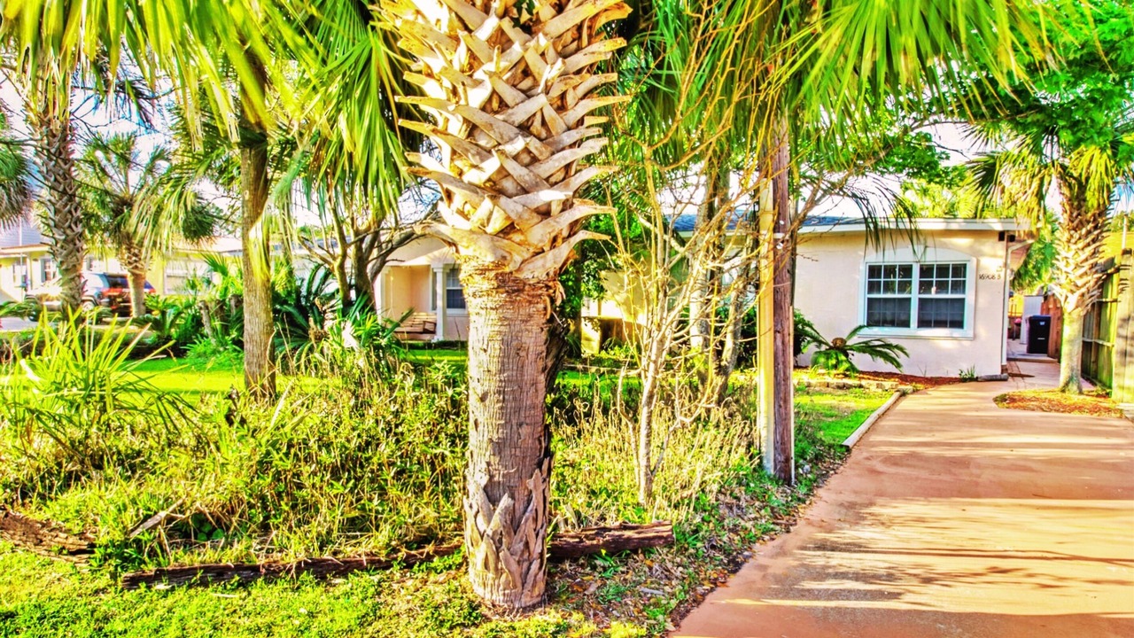 Photo of Outdoor in El Centro Beach