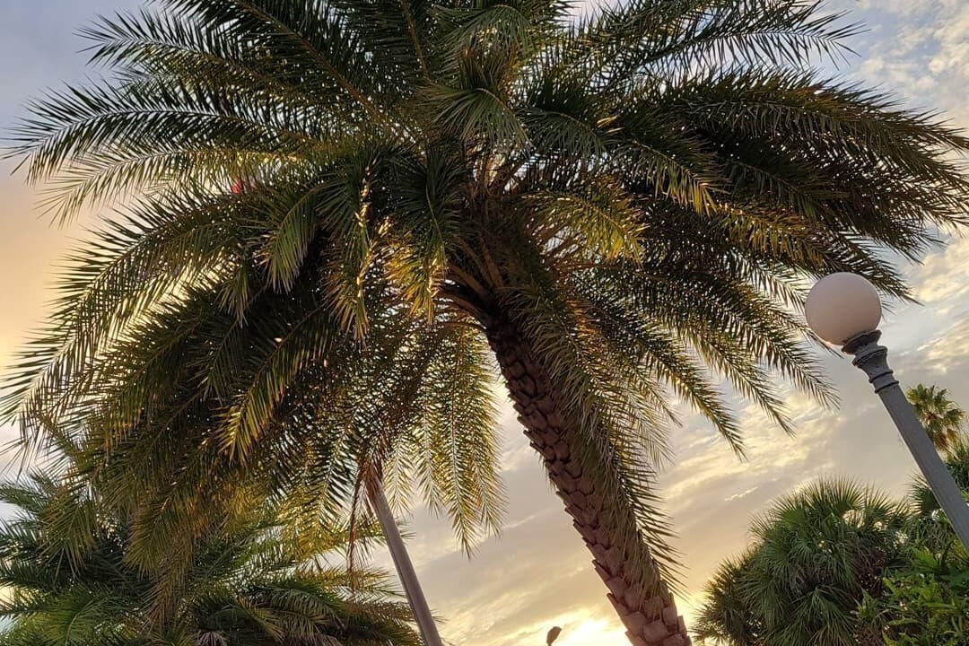 Photo of Outdoor in Treasure Island