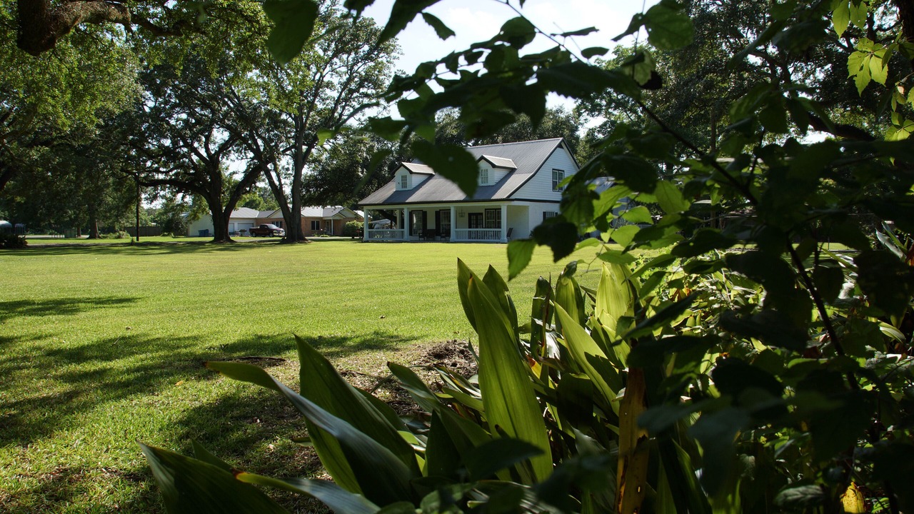 Photo of Outdoor in St. Martinville