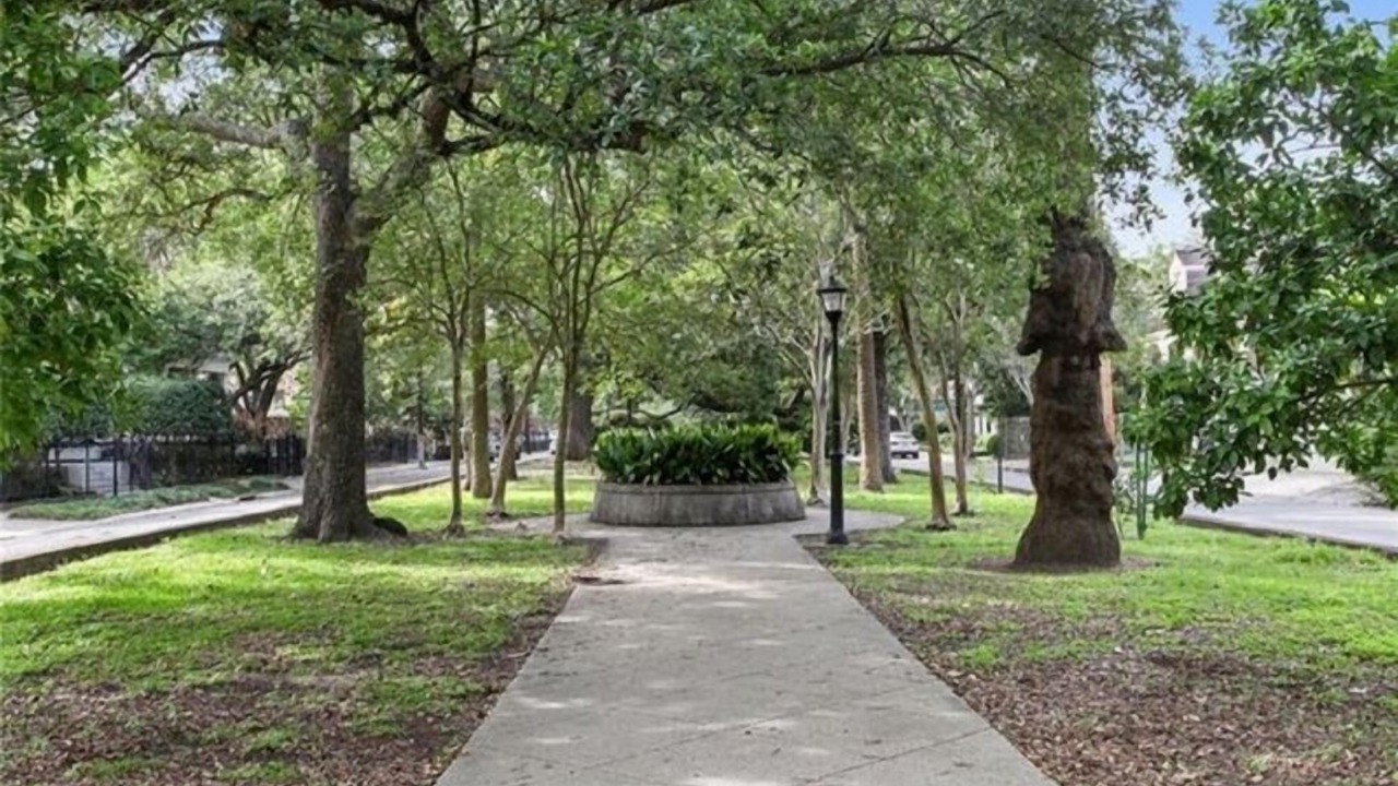Photo of Others in Mid-City