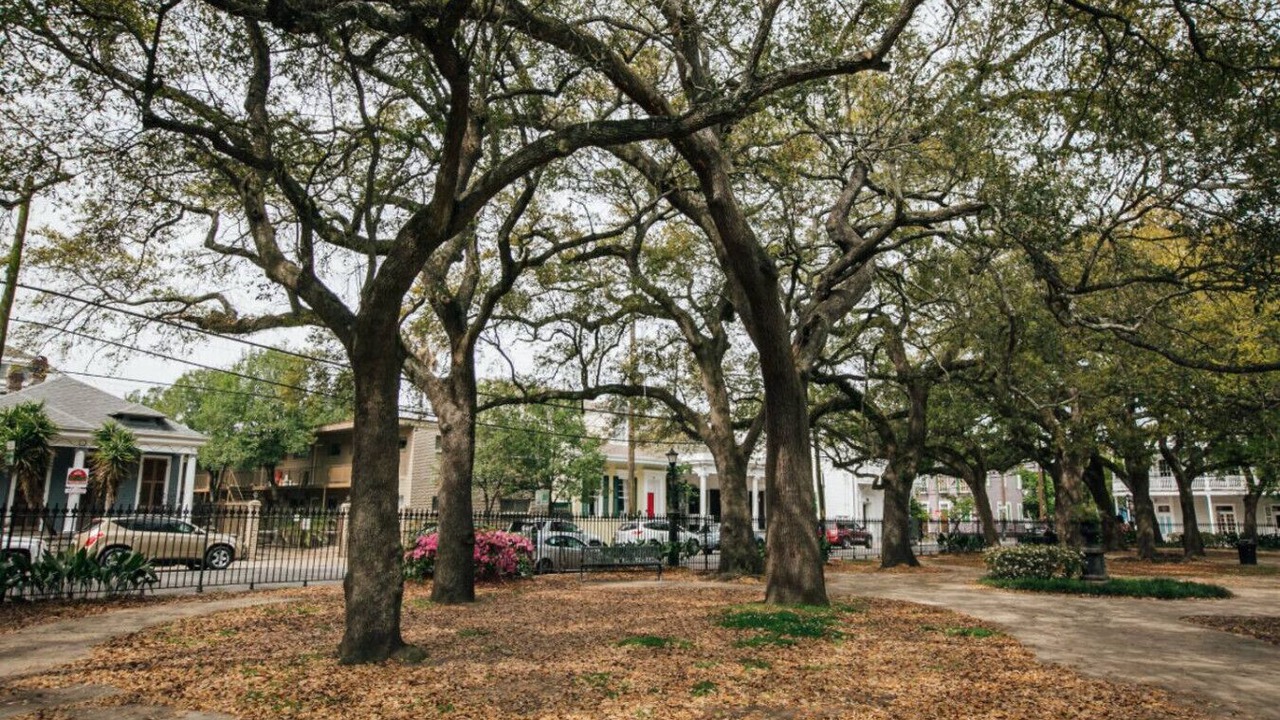 Photo of Outdoor in Faubourg Marigny