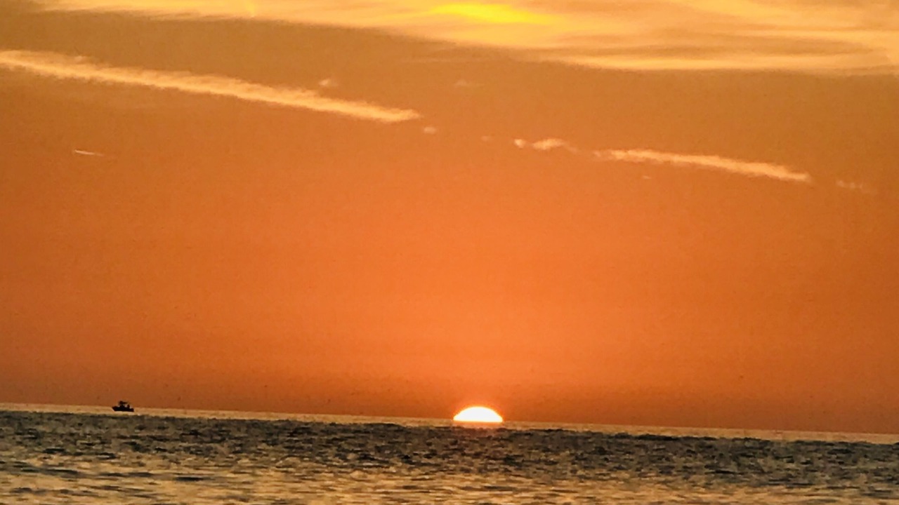 Photo of Others in Anna Maria