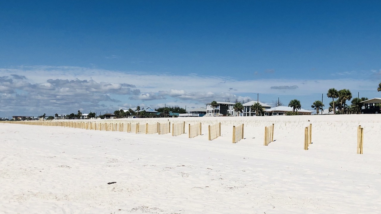 Photo of Others in Mexico Beach