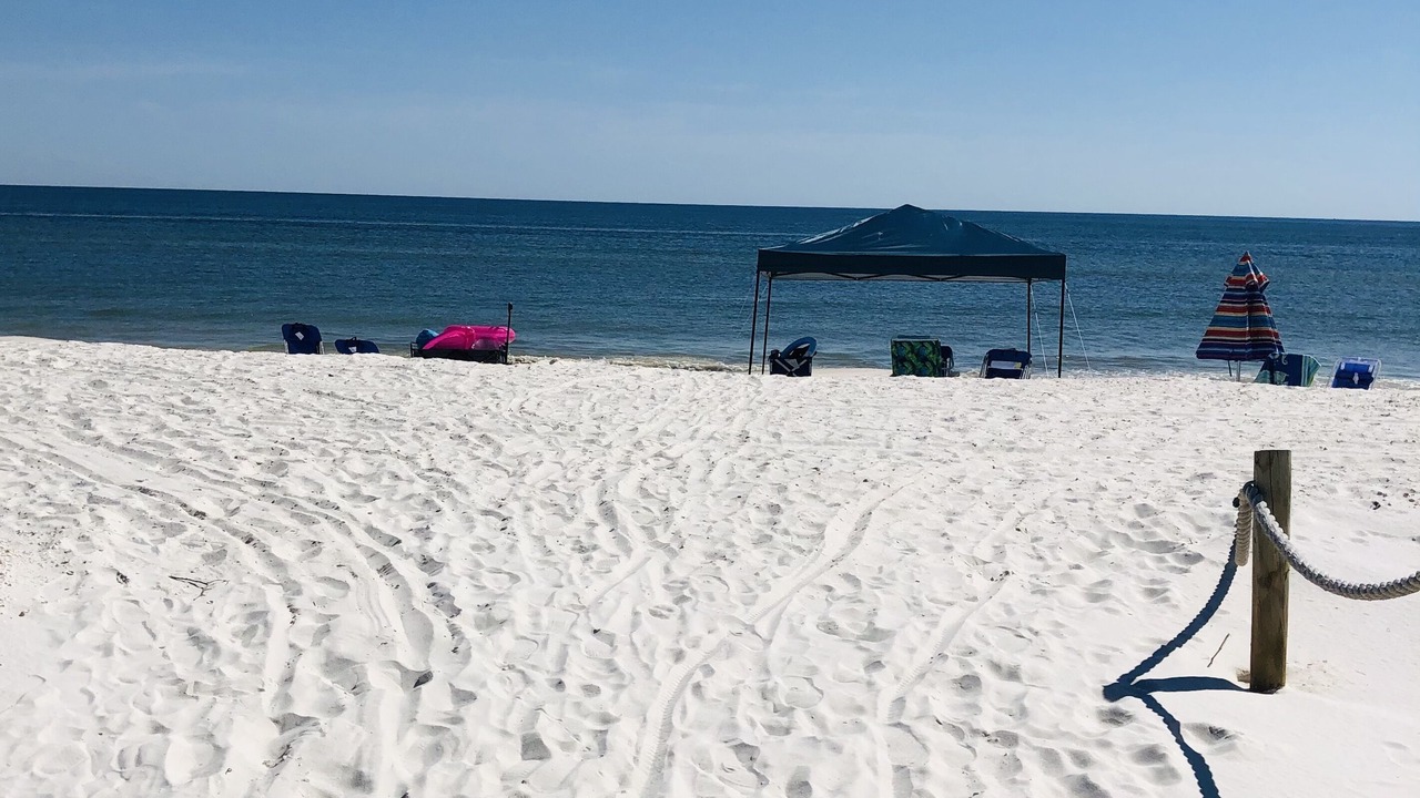 Photo of Others in Mexico Beach