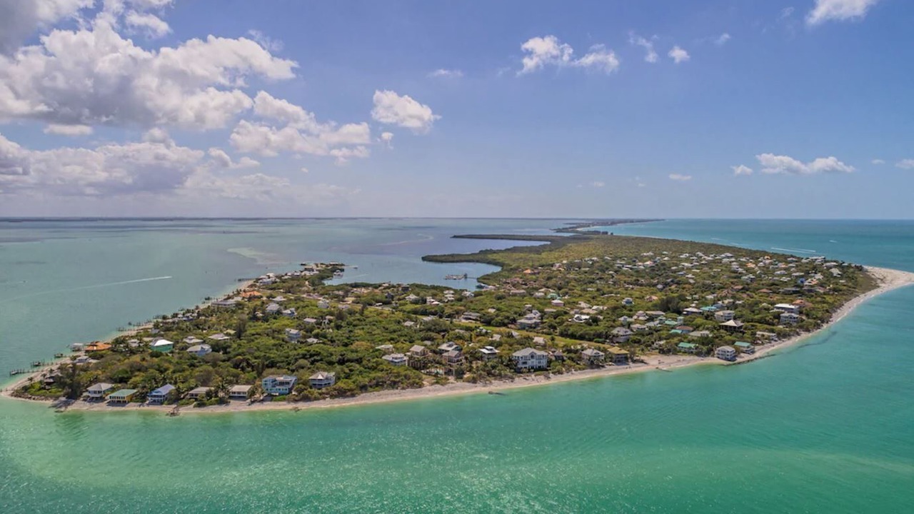 Photo of Others in Safety Harbor Club