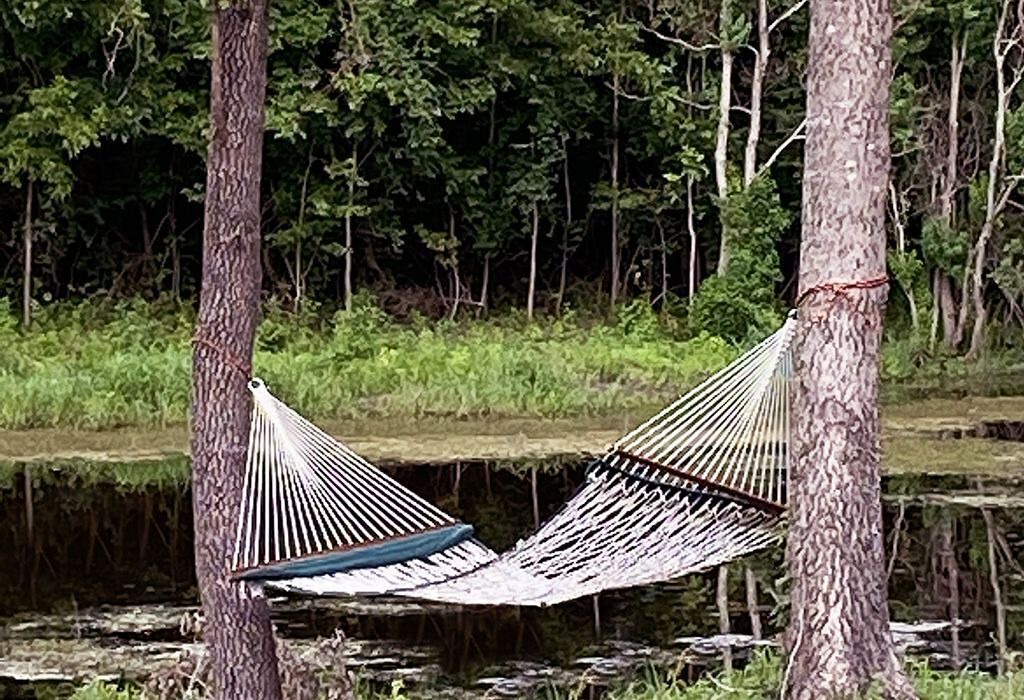 Photo of Outdoor in Wills Point