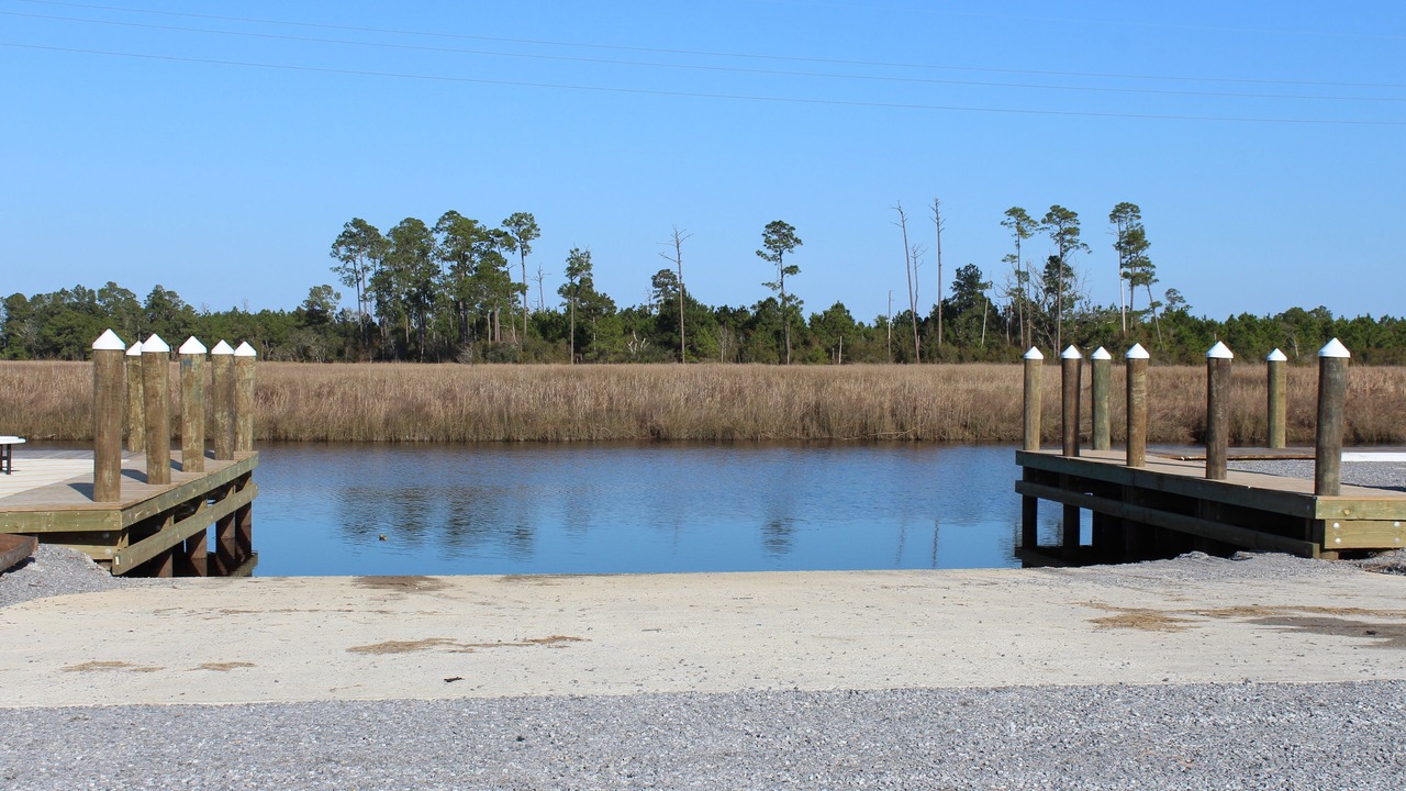 Photo of Outdoor in Shoreline Park