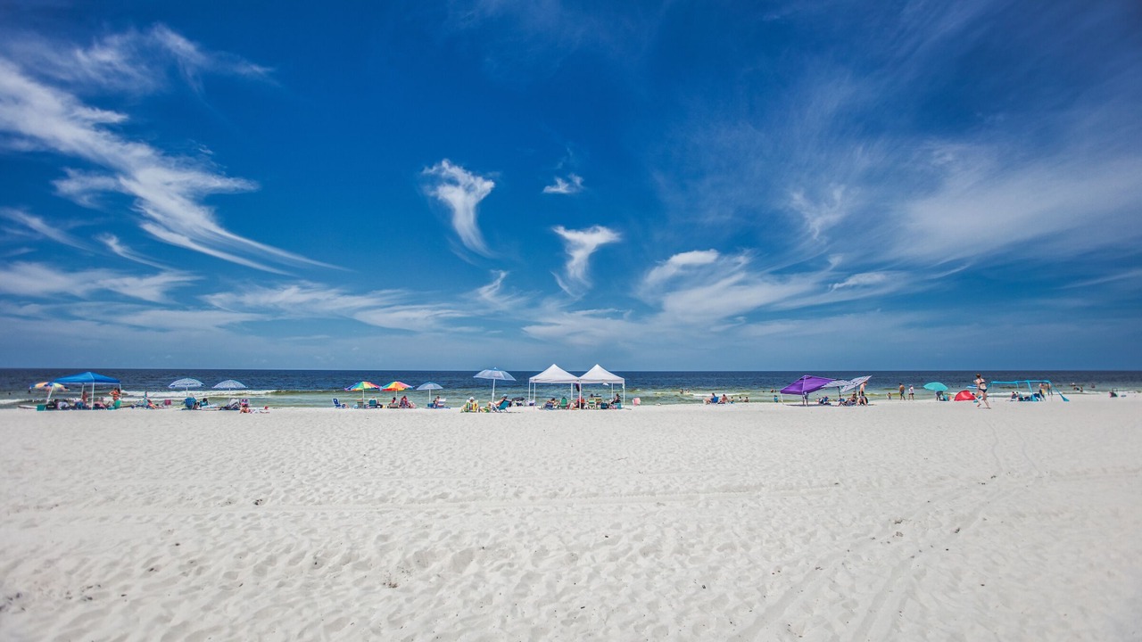 Photo of Others in Bahama Beach
