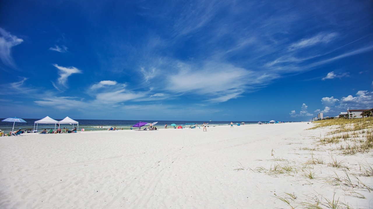 Photo of Others in Bahama Beach