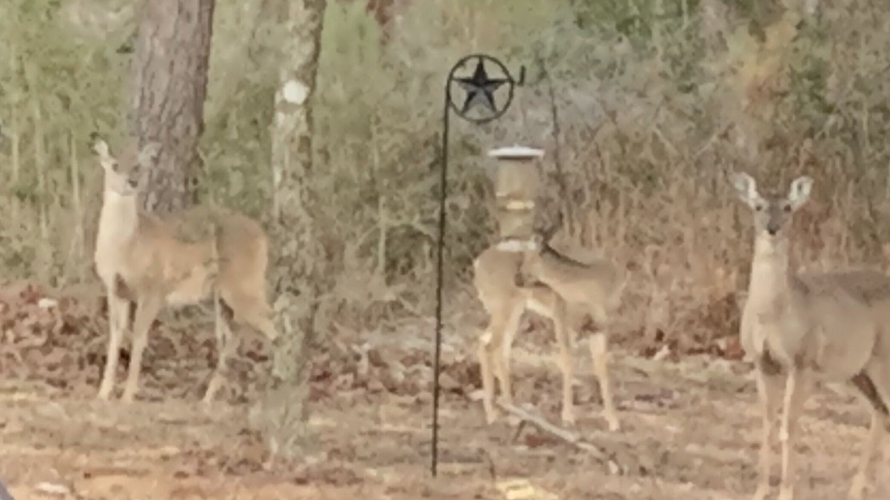 Photo of Others in Broaddus