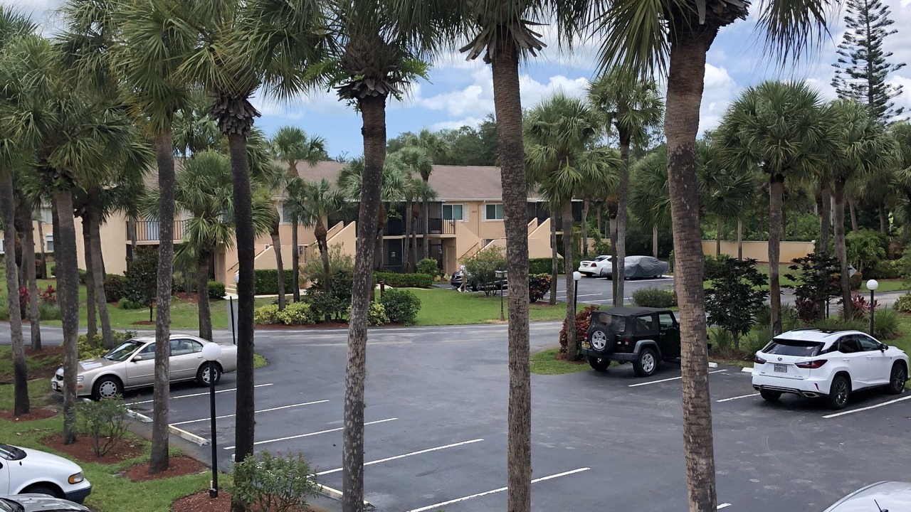 Photo of Outdoor in East Naples