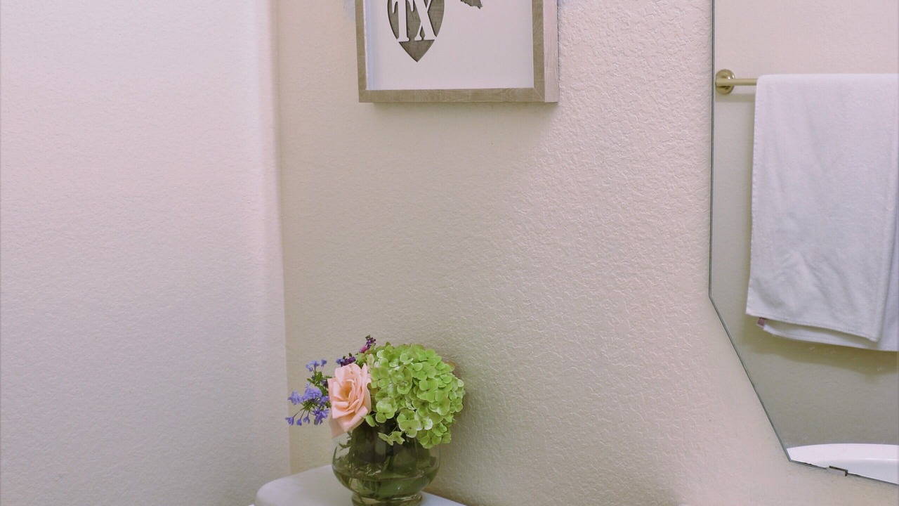 Photo of Bathroom in Plano