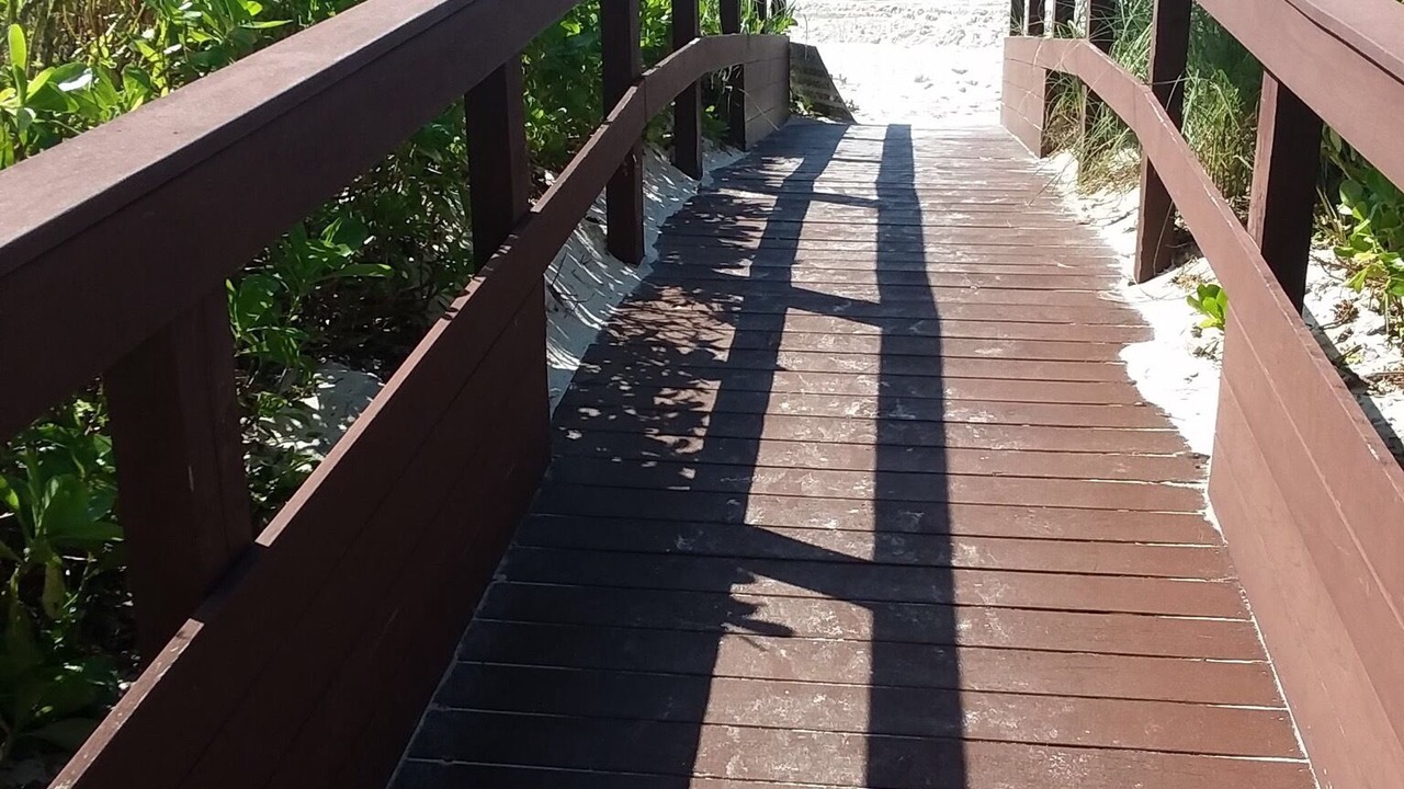 Photo of Others in Park Shore