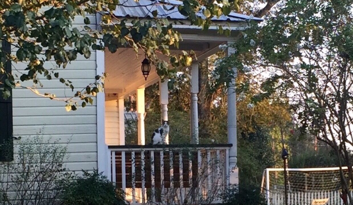 Photo of Outdoor in Ponchatoula