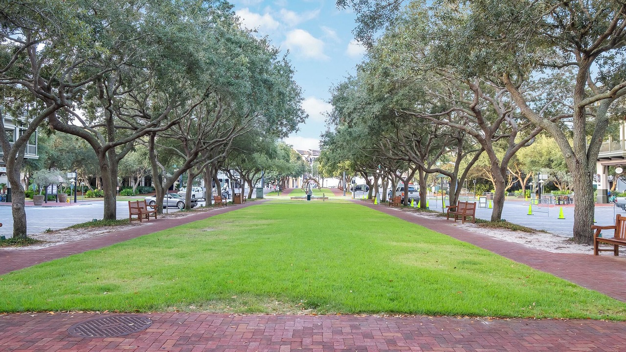 Photo of Outdoor in West Panama City Beach