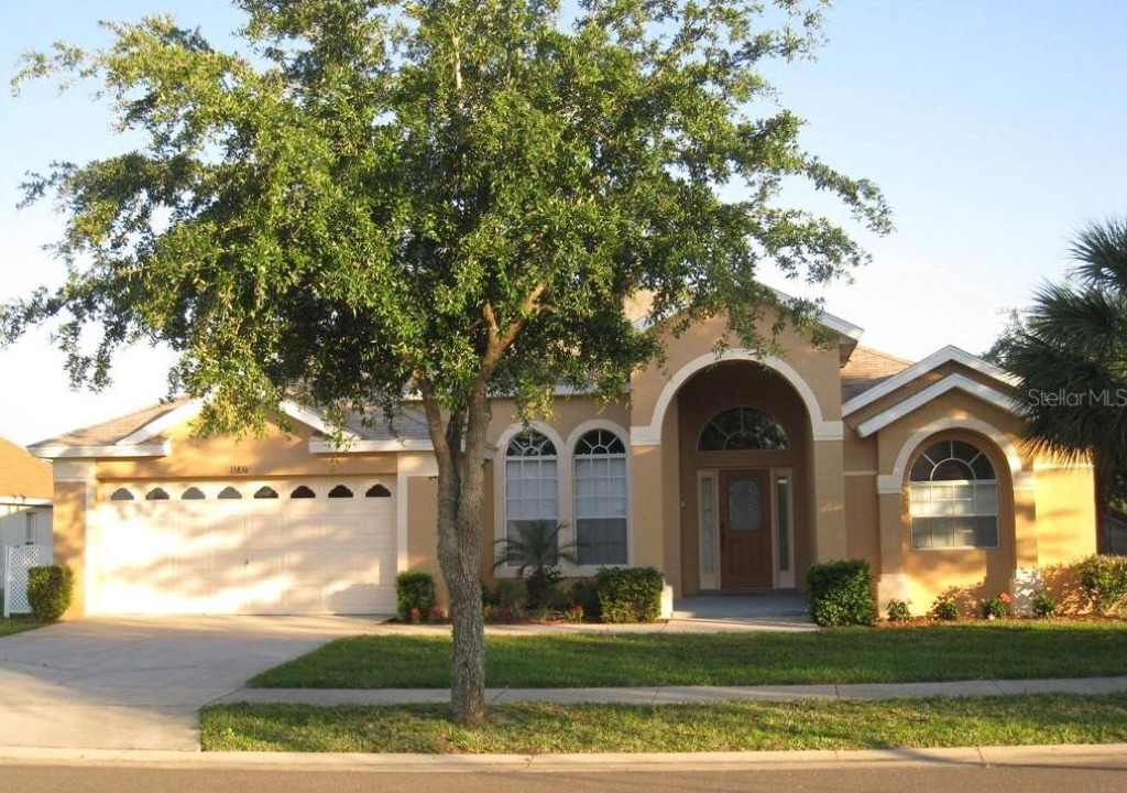 Photo of Outdoor in Orange Tree