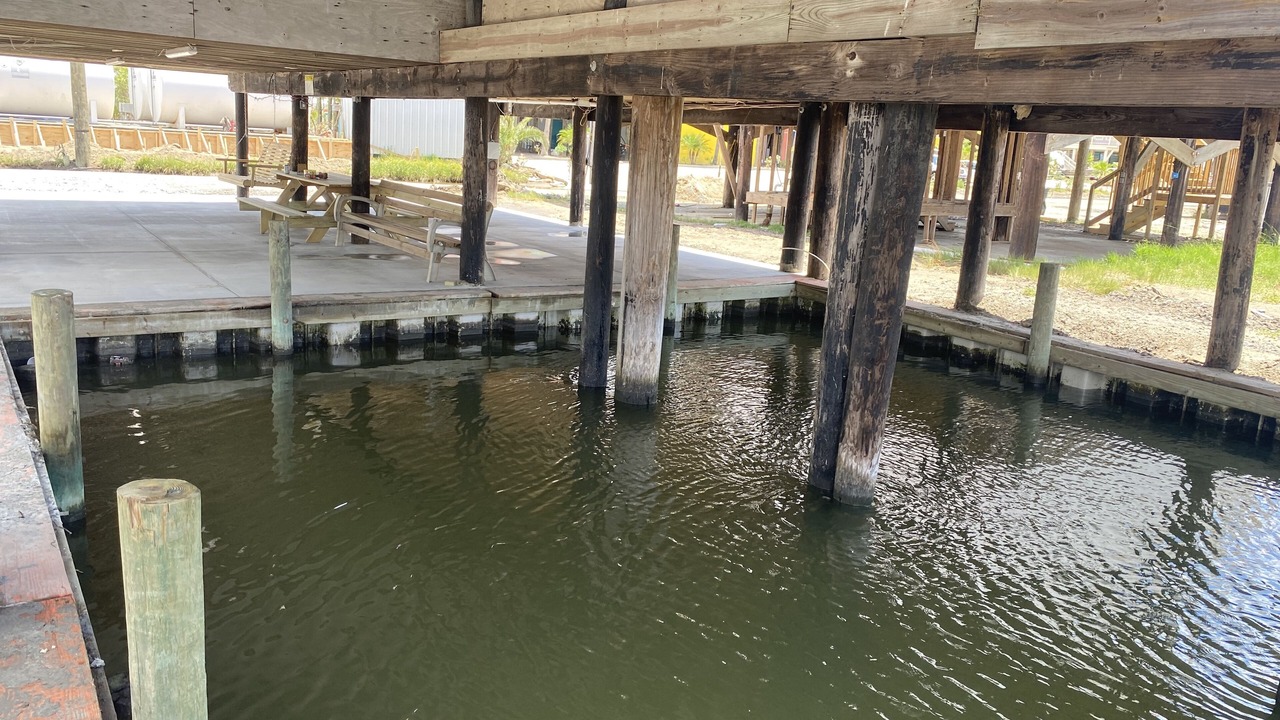 Photo of Outdoor in Grand Isle