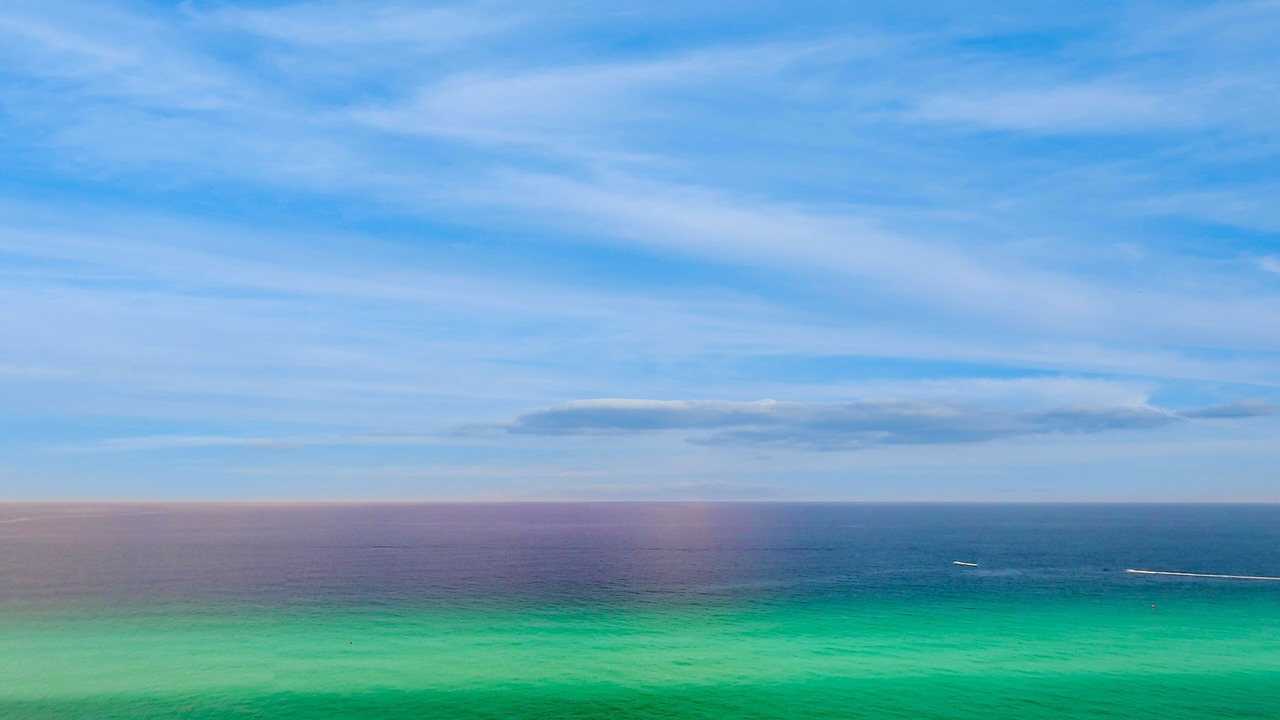 Photo of Others in Panama City Beach