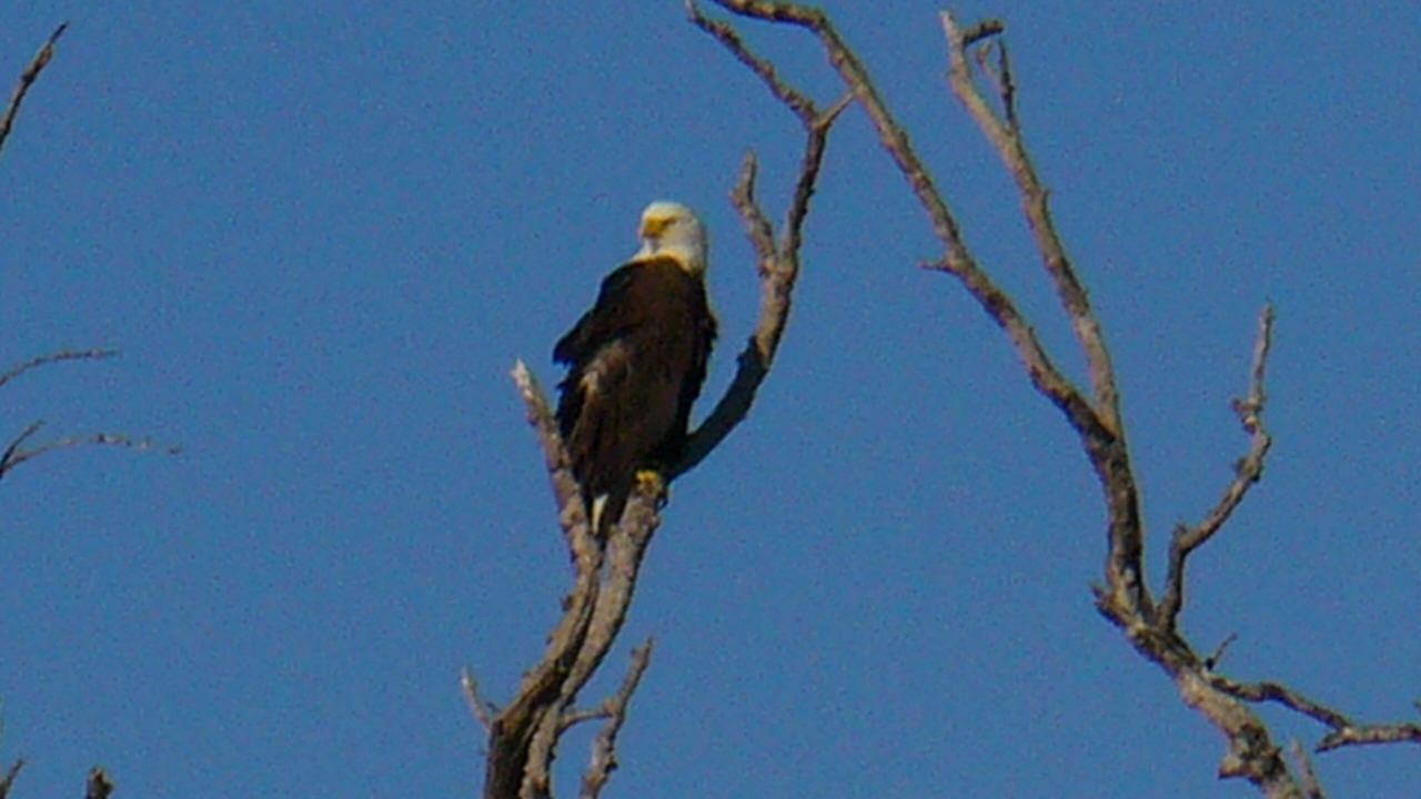 Photo of Others in Chokoloskee