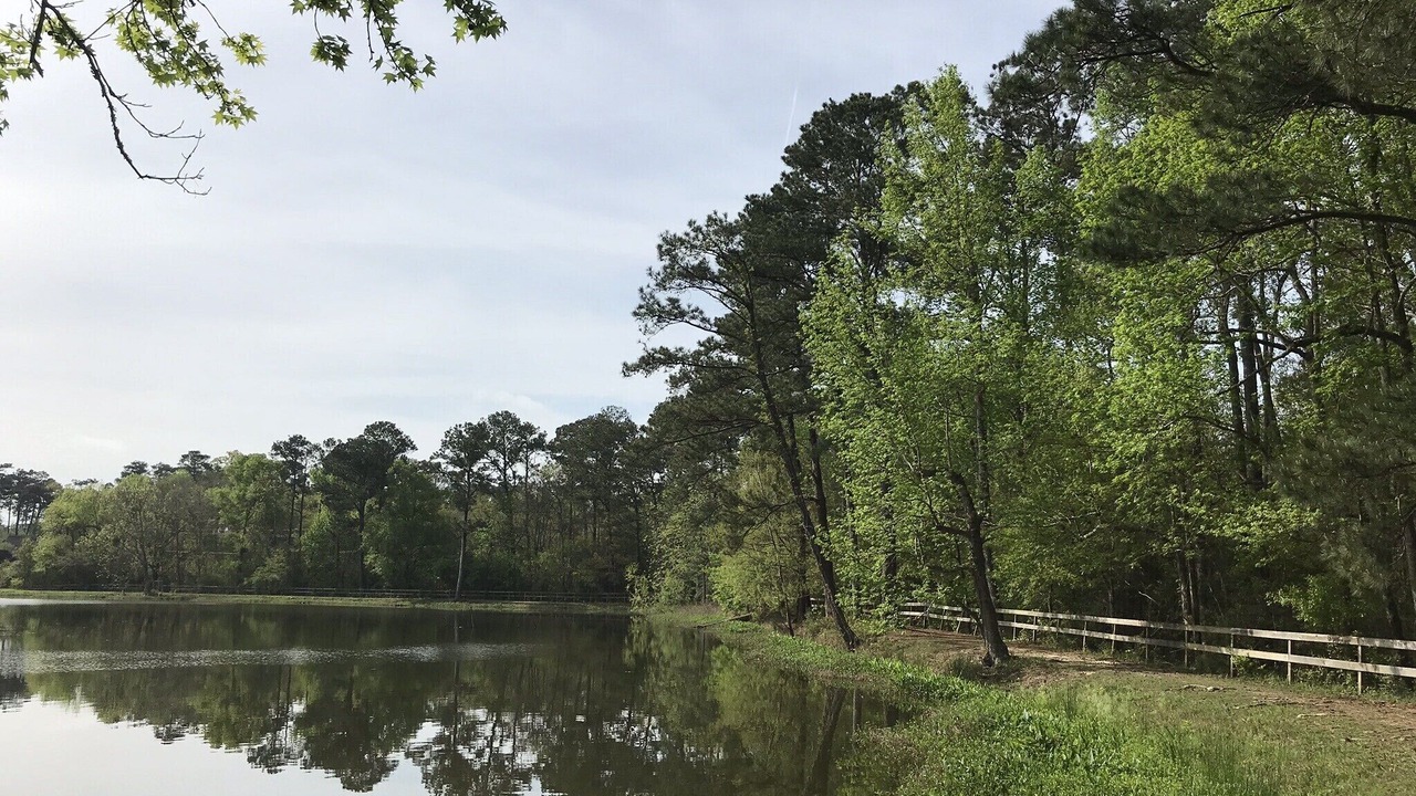 Photo of Others in Mandeville