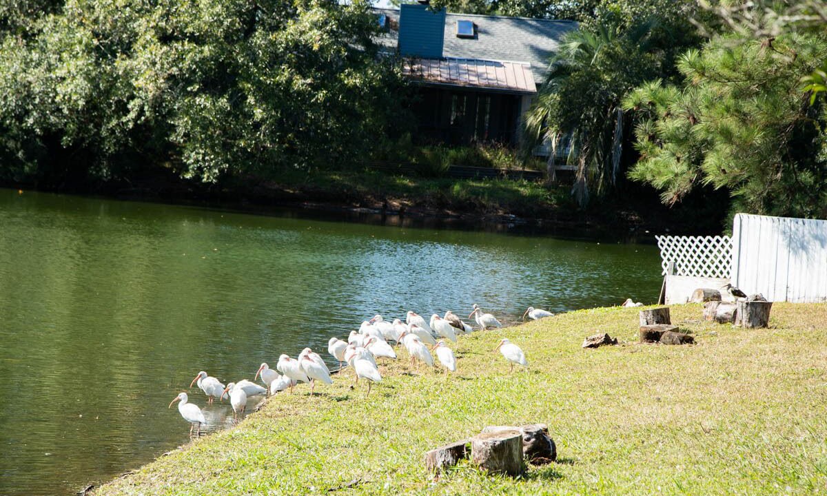 Photo of Outdoor in Southside