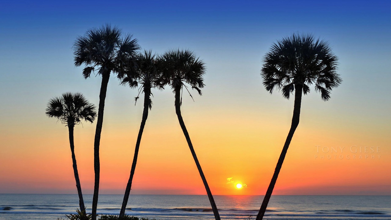 Photo of Others in Daytona Beach