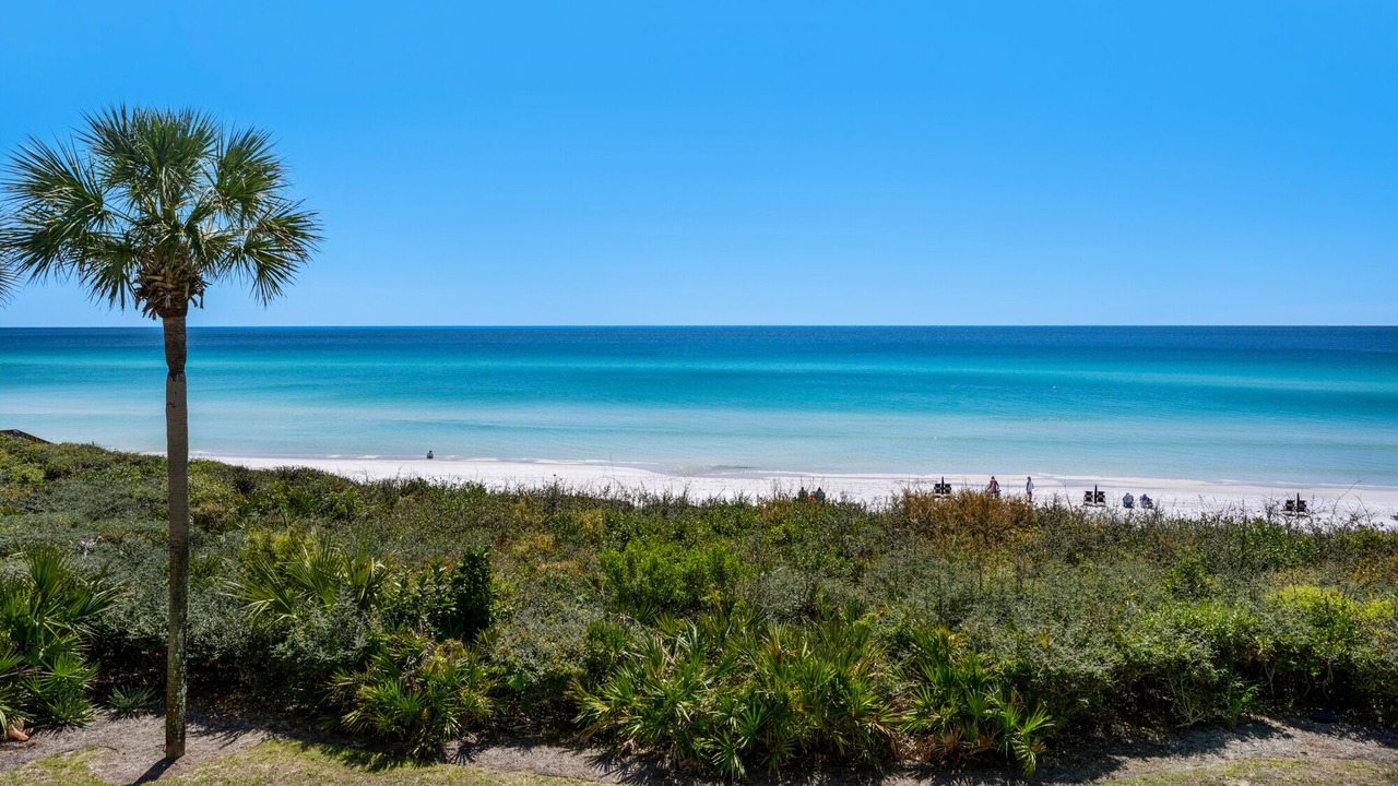 Photo of Others in Seagrove Beach