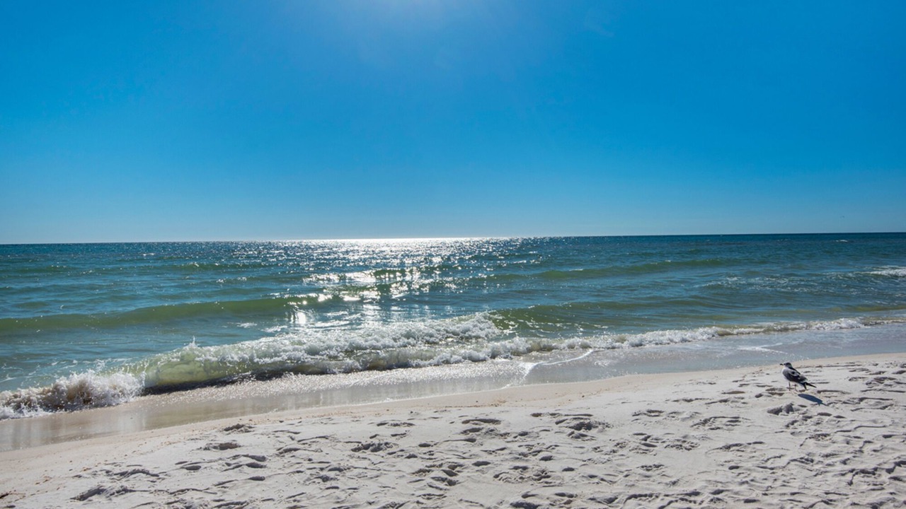 Photo of Others in Rosemary Beach
