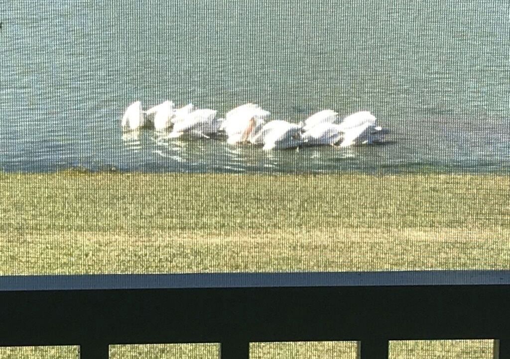Photo of Outdoor in Fruitland Park
