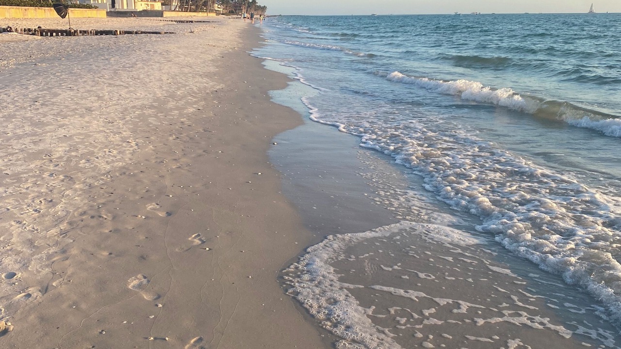 Photo of Others in Coquina Sands