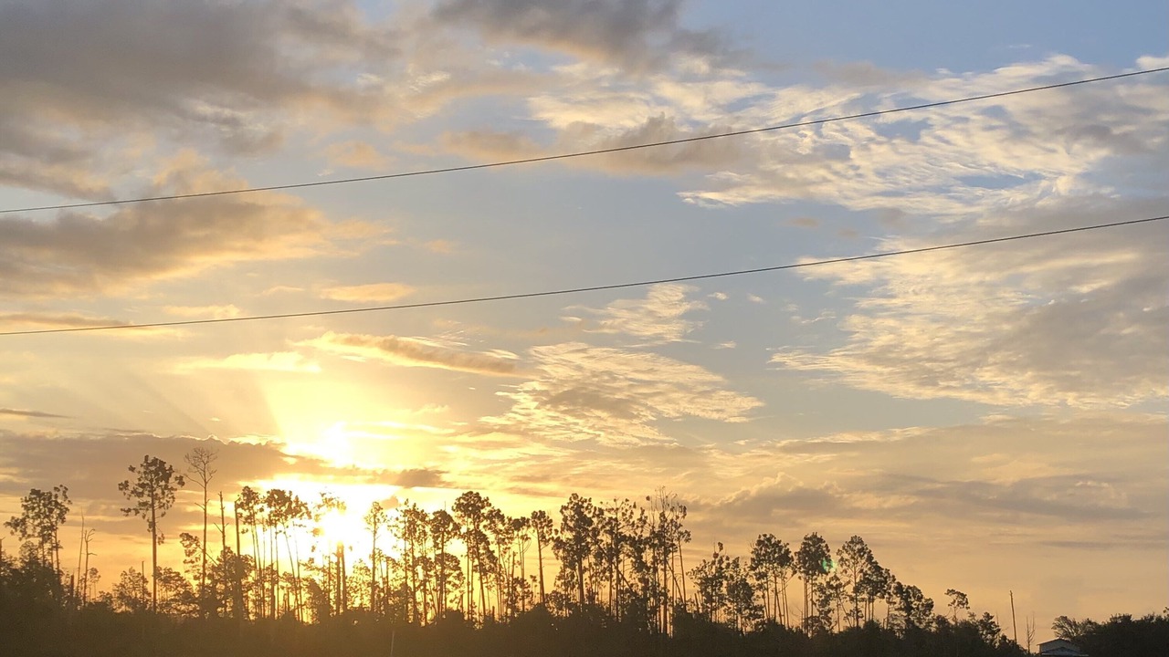 Photo of Outdoor in Gulf County