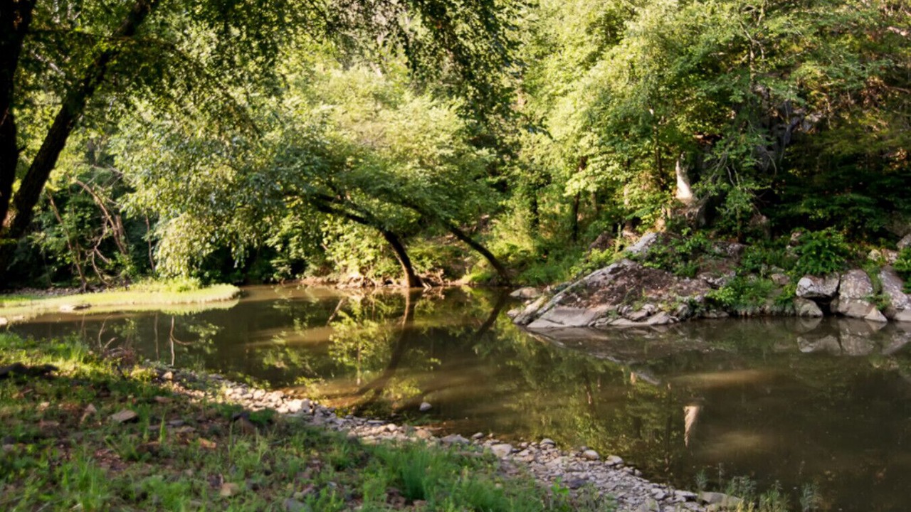 Photo of Others in Smithville