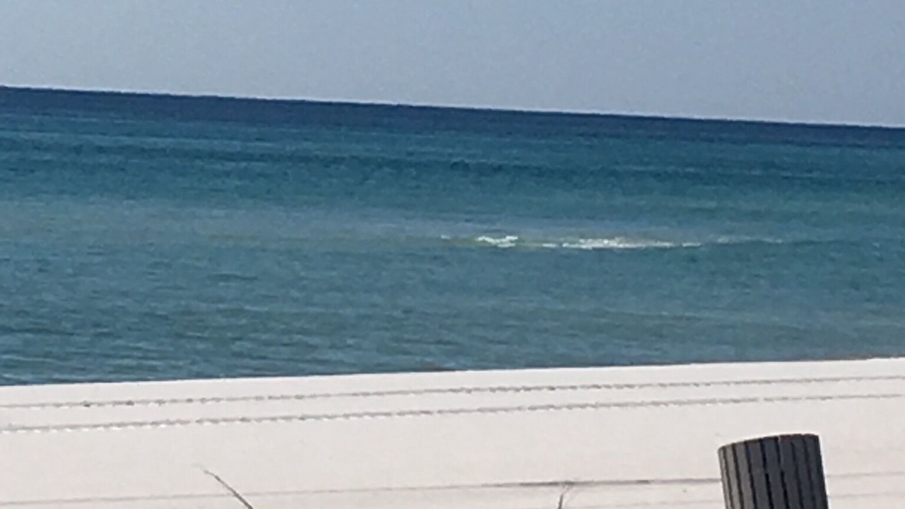 Photo of Others in Panama City Beach