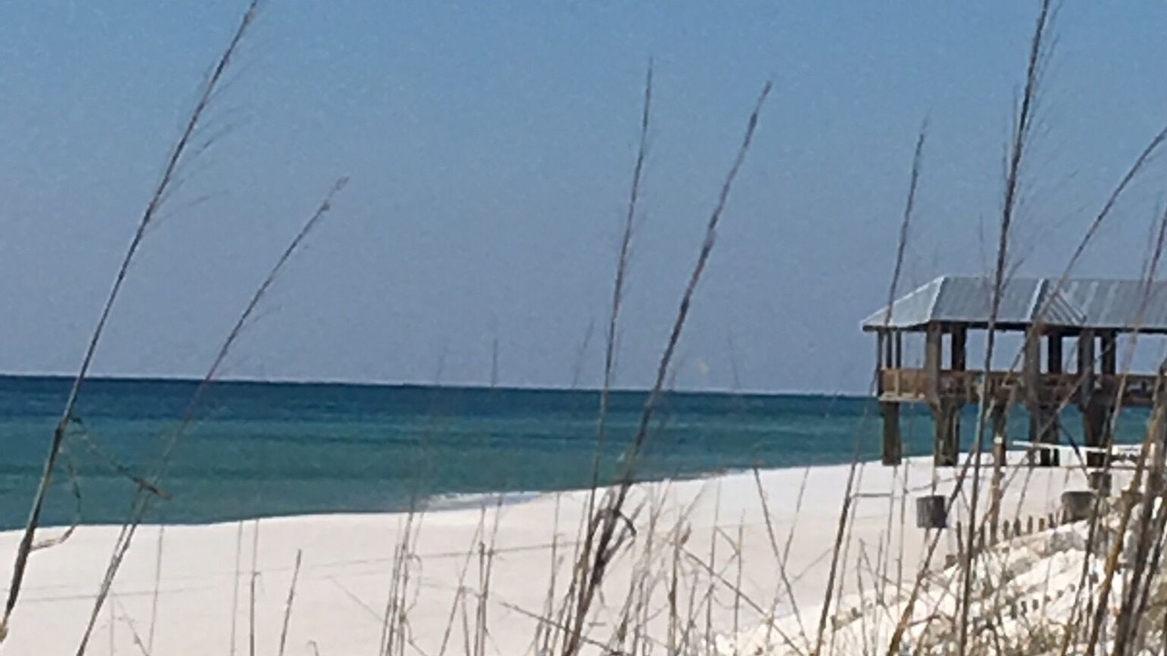 Photo of Others in Panama City Beach